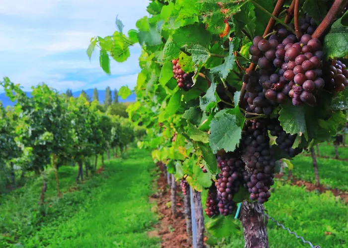Precioso En El Centro De Jerez Con Garaje Incluido *